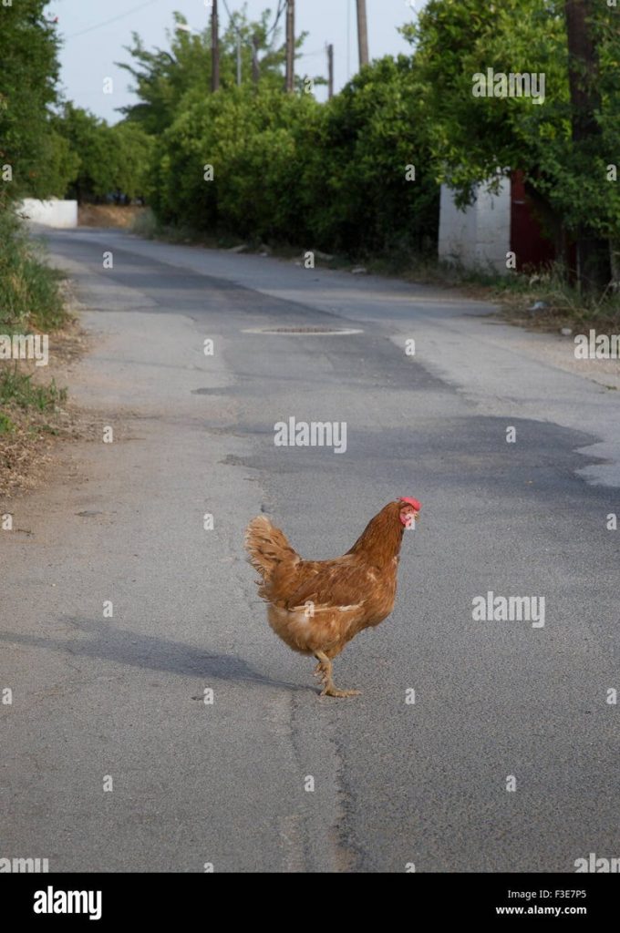 Descubre los secretos detrás del misterioso Camino del Pollo en España